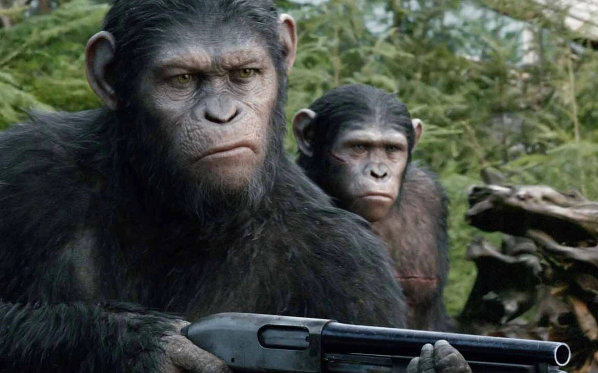 'La guerra del planeta de los simios' (3,8%) lidera una jornada con buenos datos para la franquicia 'FBI'