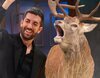 La curva de audiencia de 'La revuelta' contra 'El hormiguero' en su entrega histórica con 13 minutos de animales