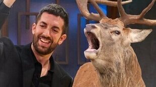 La curva de audiencia de 'La revuelta' contra 'El hormiguero' en su entrega histórica con 13 minutos de animales