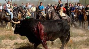 Agreden a un periodista de 'El programa de Ana Rosa' durante la cobertura del Toro de la Vega