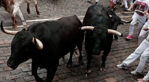 La 1 continúa controlando la mañana (14,1%) con San Fermín