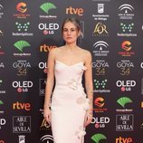 María Escarmiento posa en la alfombra roja de los Premios Goya 2020