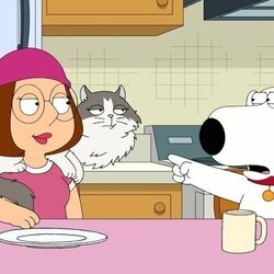 'Gato de Familia' de 'Padre de familia'