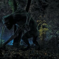 Temporada 1 y el capítulo 06 de 'Miércoles'