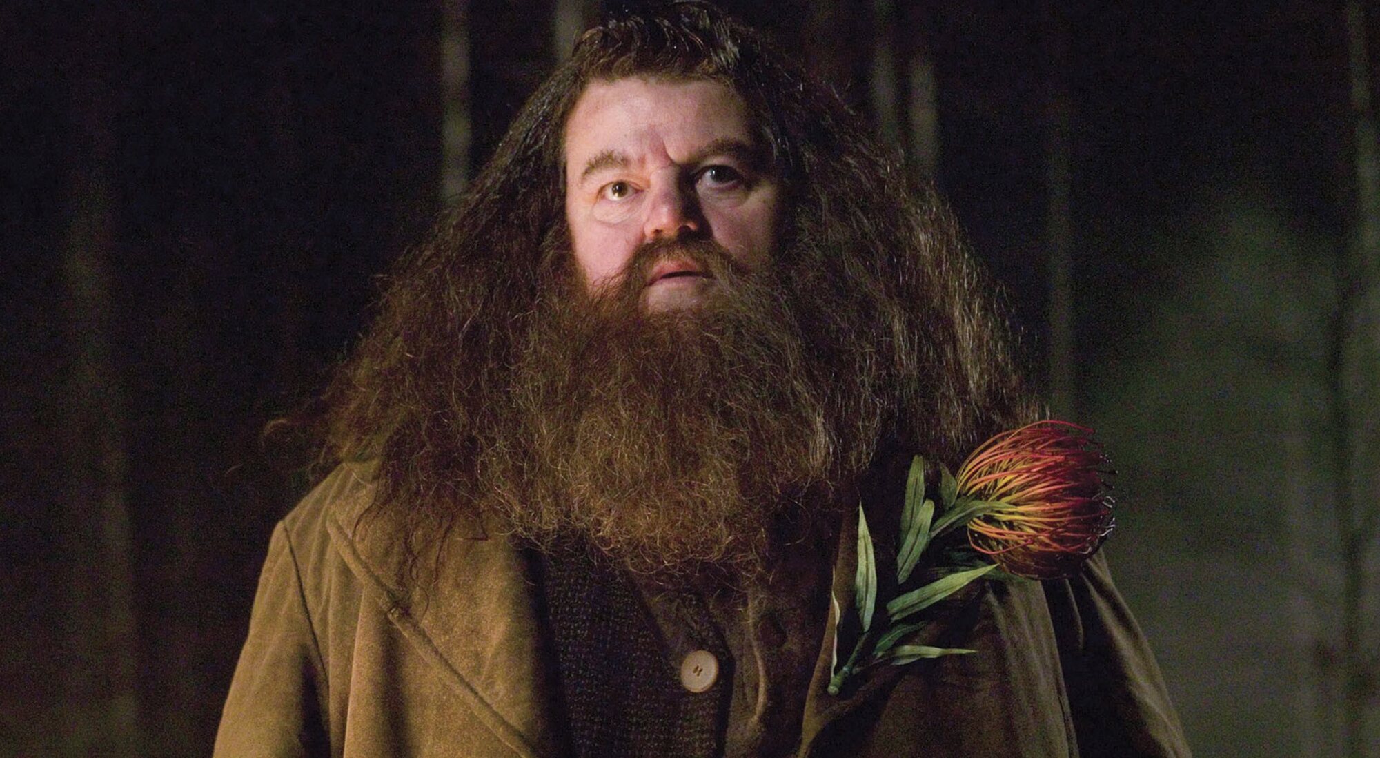 Muere Robbie Coltrane, El Eterno Hagrid De "Harry Potter", A Los 72 ...