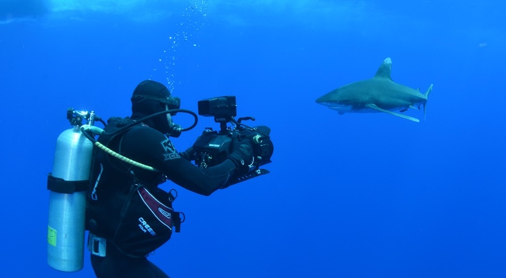 Imagen del operador grabando al tiburón