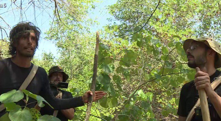 Fernando se pelea contra Juanma en 'La isla'