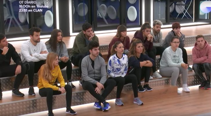 Los concursantes de 'OT 2017'