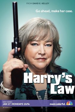 Temporada 1 Harry's Law