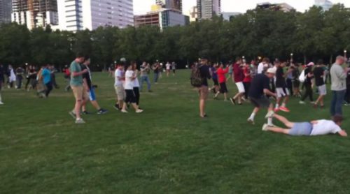 Pokémon Go: Locura general en un parque de Estados Unidos tras la aparición de Squirtle