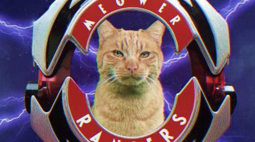 Así es la desternillante versión felina de 'Mighty Morphin Power Rangers'