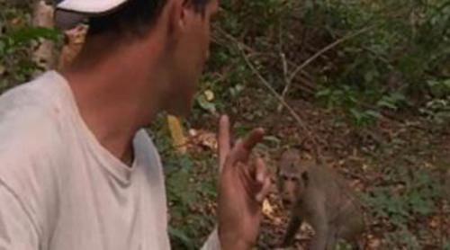 Promo de lo que nos depara el programa 'Frank de la jungla'