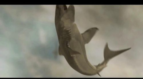 Tráiler de "Sharknado 2", la secuela de una película convertida en fenómeno mundial